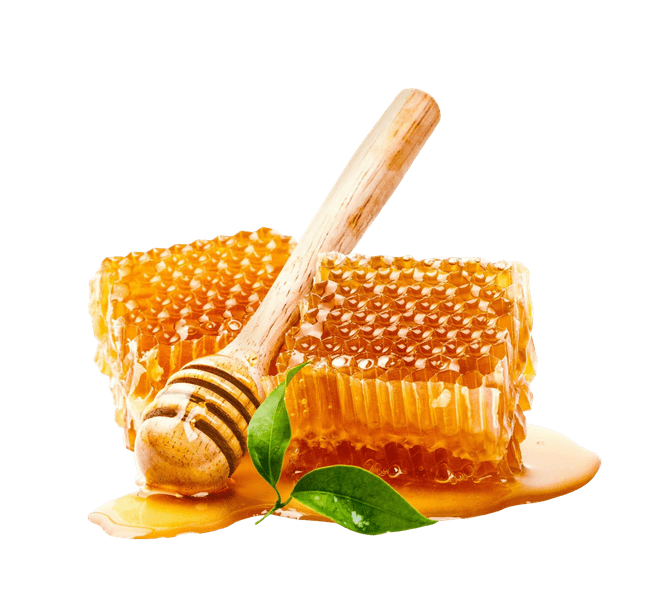 Forest Honey