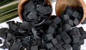 Coconut shell BBQ - Image 2